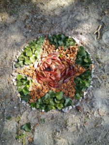 Lire la suite à propos de l’article Land-art