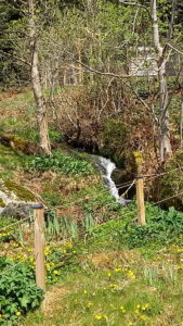 Lire la suite à propos de l’article Au bord de l&rsquo;eau