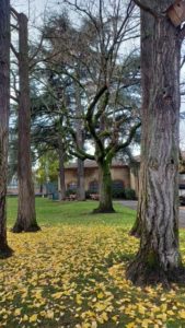 Lire la suite à propos de l’article Visite à Saint-Chamond