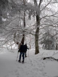 Lire la suite à propos de l’article Neige…