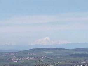 Lire la suite à propos de l’article MARCHE DU MERCREDI 22/03/23 À CELLIEU