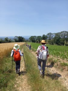 Lire la suite à propos de l’article Marche à la journée du mercredi 28/06/2023 à Saint-Héand avec les guides du Pilat
