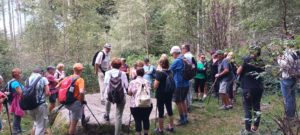 Lire la suite à propos de l’article Marche du mercredi 20 septembre 2023