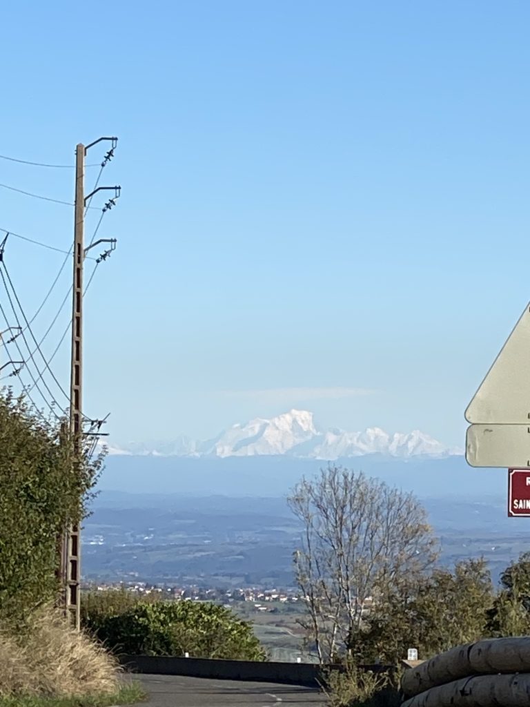 Le sabot bleu
