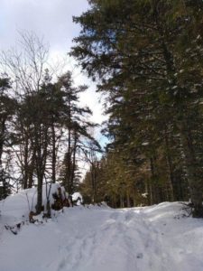 Lire la suite à propos de l’article Coté Tarentaise