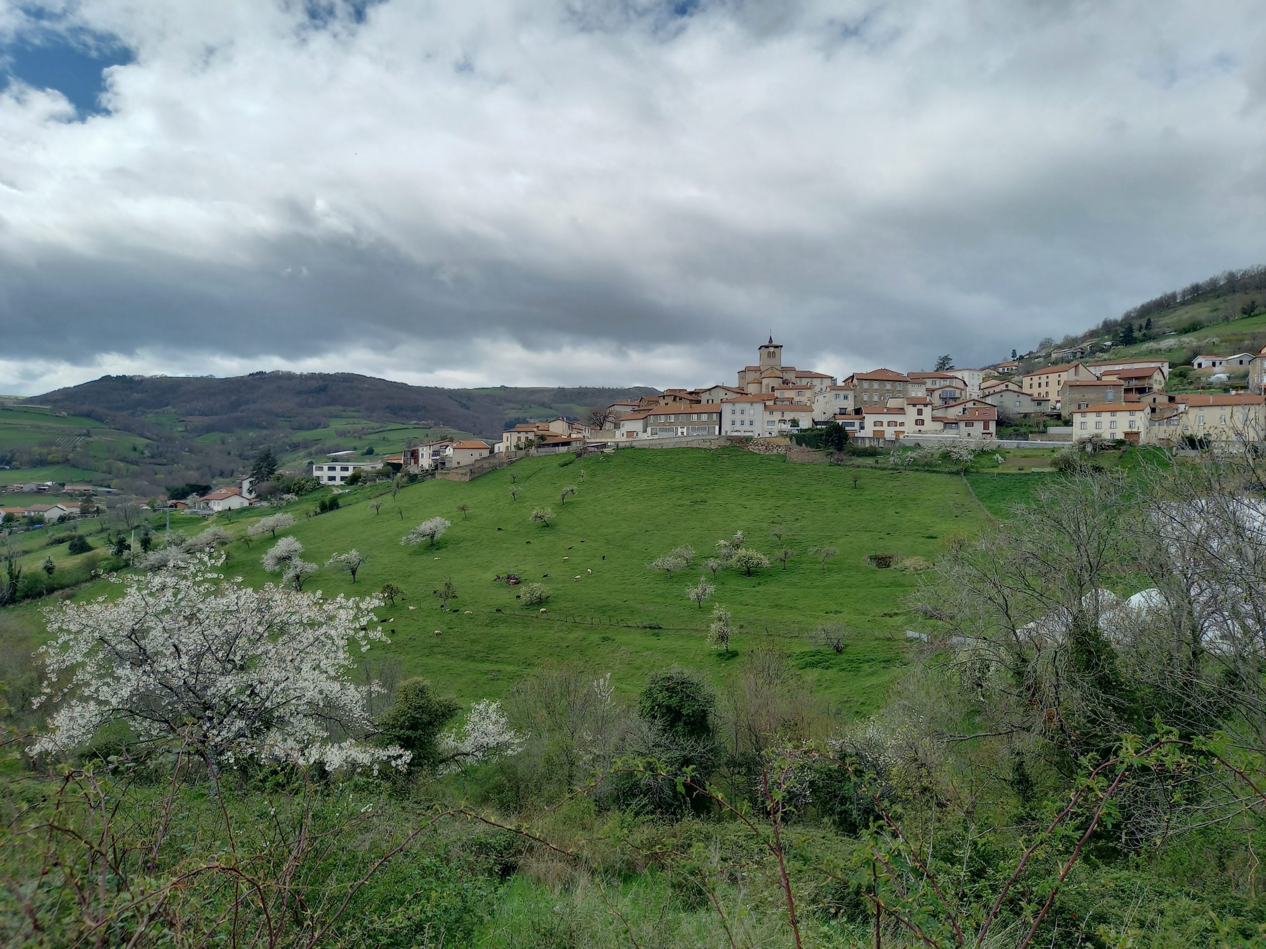 You are currently viewing Saint-Romain en Jarez