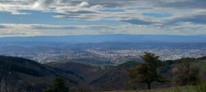 Lire la suite à propos de l’article Salvarie, le bois du Sapey