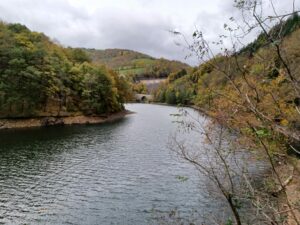 Lire la suite à propos de l’article L’HERMITAGE – Saint-Chamond